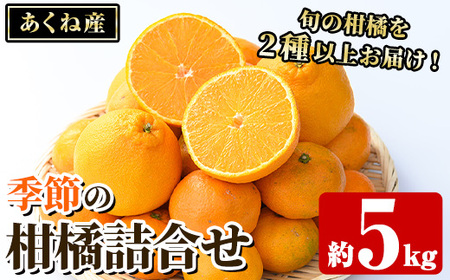 竹ん子山の季節の柑橘詰め合わせ(約5kg) 国産 鹿児島県産 阿久根産 柑橘 果物 温州みかん ミカン 蜜柑 ボンタン ぼんたん 文旦 しらぬい しらぬひ 不知火 サワーポメロ フルーツ 果実 期間限定 セット 詰合せ バラエティ [竹ん子山]akn097-13