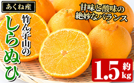 竹ん子山のしらぬひ(約1.5kg) 国産 鹿児島県産 阿久根産 柑橘 果物 しらぬい 不知火 フルーツ 果実 期間限定 [竹ん子山]akn097-14