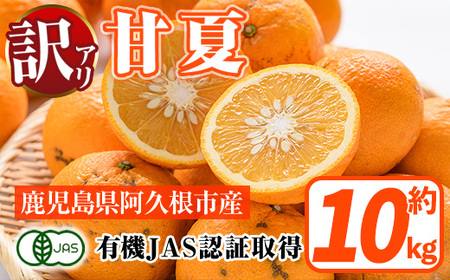 訳あり!有機JAS 甘夏(約10kg) 国産 果実 果物 フルーツ 柑橘 デザート 訳アリ 期間限定 有機栽培 [中村農場]akn084-07