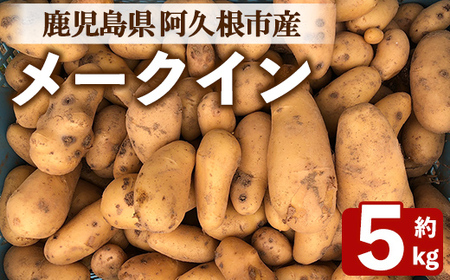 [先行予約受付中!2026年6月以降順次発送予定]じゃがいも メークイン(5kg) 国産 鹿児島県産 阿久根市産 じゃがいも ジャガイモ 芋 ポテト 野菜 期間限定 数量限定 スープ カレー シチュー 常温 常温配送 [慶越農園]akn107-05