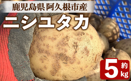 [先行予約受付中!2026年6月以降順次発送予定]じゃがいも ニシユタカ(5kg) 国産 鹿児島県産 阿久根市産 じゃがいも ジャガイモ 芋 ポテト にしゆたか 野菜 期間限定 数量限定 ポテトサラダ コロッケ 常温 常温配送 [慶越農園]akn107-09