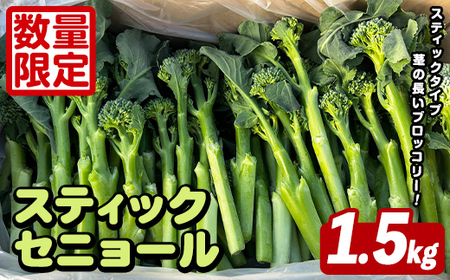 [先行予約受付中!2026年5月以降順次発送予定] スティックセニョール (1.5kg) 国産 鹿児島県産 阿久根市産 ブロッコリー 野菜 サラダ お弁当 ピクニック 産地直送 茎ブロッコリー 肉巻き 数量限定 期間限定 [うとさんち]akn067-25