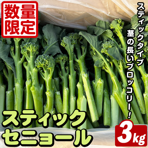 スティックセニョール (3kg) 国産 鹿児島県産 阿久根市産 ブロッコリー 野菜 サラダ お弁当 ピクニック 産地直送 茎ブロッコリー 肉巻き 数量限定 期間限定 【うとさんち】akn067-26