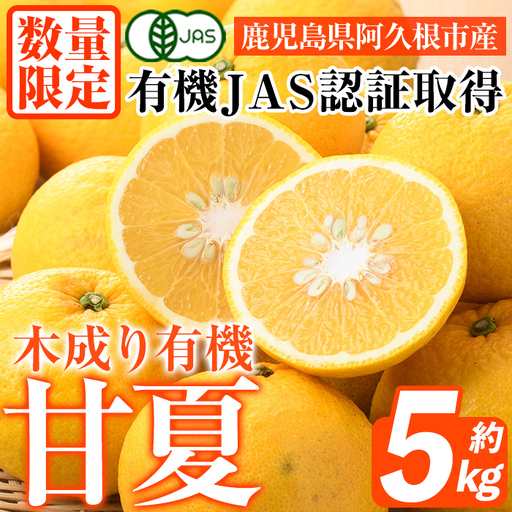 数量限定!有機JAS 木成り甘夏(約5kg) 国産 果実 果物 フルーツ 柑橘 デザート きなり 木なり あまなつ みかん ミカン 蜜柑 期間限定 有機栽培 [中村農場]akn084-09