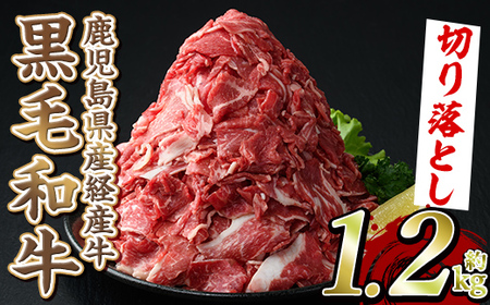 黒毛和牛鹿児島県産(経産牛)切り落とし(計1.2kg・600g×2P) 国産 牛肉 肉 冷凍配送 小分け 個包装 セット しゃぶしゃぶ すき焼き バーベキュー BBQ 鍋【スターゼン】a-12-97