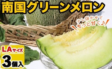 鹿児島県産!南国グリーンメロン(LAサイズ×3個) メロン めろん 果物 スイーツ デザート フルーツ[あくね旬の店いきいき館]akn015-16
