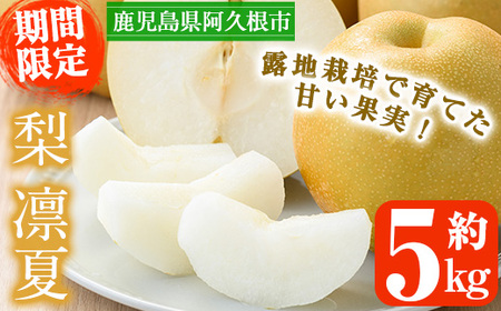 [先行予約受付中!2026年7月下旬以降順次発送予定]数量限定!鹿児島県産梨[品種:凛夏](約5kg・10〜20個前後)国産 果物 くだもの フルーツ 旬 果実 ナシ なし デザート 露地栽培 りんか 凛夏 期間限定[三笠農業生産]akn051-08