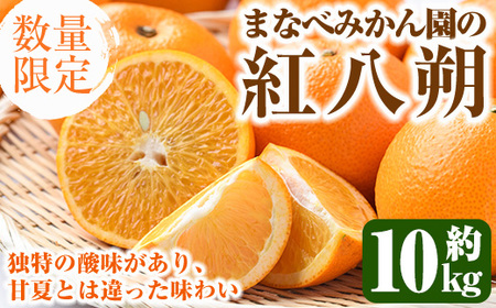[先行予約受付中!2026年2月上旬以降順次発送予定]まなべみかん園の紅八朔(約10kg) 国産 鹿児島県産 阿久根市産 柑橘類 みかん ミカン 蜜柑 果物 フルーツ べにはっさく 期間限定 数量限定 贈答用 ギフト デザート[有限会社まなべ園]a-16-64-z