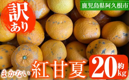 [先行予約受付中!2025年3月中旬以降順次発送予定]訳あり!鹿児島県産まかない紅甘夏(約20kg)国産 鹿児島産 柑橘 訳アリ 果物 フルーツ 旬[三笠農業生産]a-12-138-z