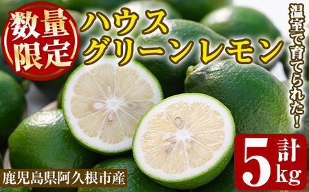 ʌInEX}C[O[(5kg) Y EG ʎ ʕ t[c k fU[g َq Ԍ ʌy˖승kЁzakn070-18