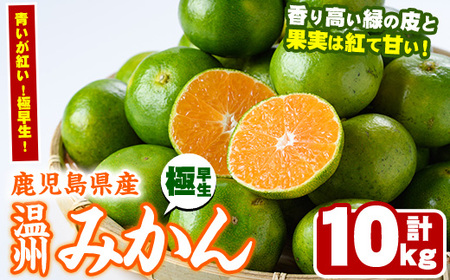 [先行予約受付中!2025年9月以降順次発送予定][期間・数量限定]極早生温州みかん(10kg) 国産 ミカン 蜜柑 柑橘 果物 果実 フルーツ デザート 旬 早生 わせ 青切りみかん 青いみかん 期間限定[鹿児島いずみ農業協同組合]akn018-07