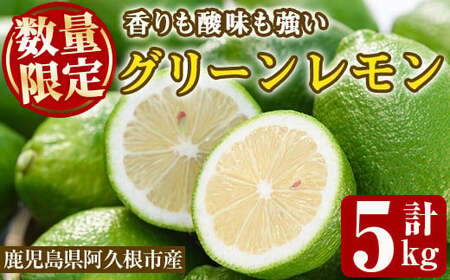 [先行予約受付中!2025年10月以降順次発送予定]数量限定!リスボングリーンレモン(5kg)国産 果実 果物 リスボンレモン フルーツ 檸檬 柑橘 デザート 期間限定[桐野柑橘株式会社]akn070-14