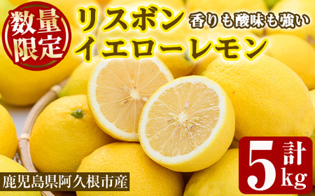 [先行予約受付中!2025年12月中旬以降順次発送予定]数量限定!リスボンイエローレモン(5kg) 国産 果実 果物 リスボンレモン フルーツ 檸檬 柑橘 デザート 期間限定[桐野柑橘株式会社]akn070-15