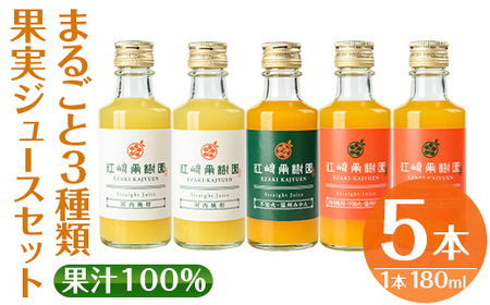 i990-D まるごと3種類果実ジュースセット(180ml×5本・全3種)飲料 ジュース みかん 蜜柑 詰合せ 果汁 100% 河内晩柑 不知火 温州みかん 無着色 無香料 ストレートジュース 安心安全 ギフト 贈り物 [江崎果樹園]