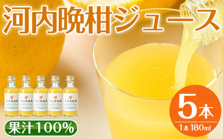 i990-A 河内晩柑ジュース(180ml×5本) 飲料 ジュース みかん 蜜柑 果汁 100% 河内晩柑 無着色 無香料 ストレートジュース 安心安全 ギフト 贈り物 贈答[江崎果樹園]