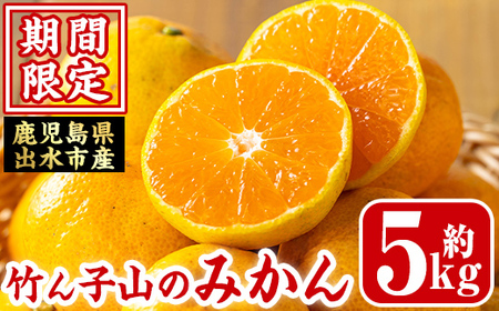 i1030 [先行予約受付中!2025年11月上旬〜12月下旬の間に発送予定]≪数量・期間限定≫いずみ産 竹ん子山のみかん(約5kg) 鹿児島 国産 九州産 みかん ミカン 蜜柑 柑橘 くだもの フルーツ 果実 [イーサイドライン]