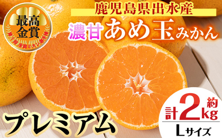 i1059-C [先行予約受付中!2025年11月中旬〜2026年1月下旬の間に発送予定][特別栽培・最高金賞]温州みかん日本一!濃甘あめ玉みかん〜プレミアム 恵み〜(約2kg・Lサイズ) みかん 蜜柑 ミカン 柑橘 果物 フルーツ 果実 国産 鹿児島 プレミアム 厳選 ギフト プレゼント 贈答用 贈り物 [Farmer friends Marche]