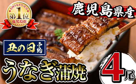 i1077-us �y�N�̓��܂łɔz���z���������Y���Ȃ�����4���Z�b�g(��140g×4�E�v��560g) ���Ȃ� �V �E�i�M 4�� ���Ă� ���Y ���������Y �Ă����� ���Y�ʓ��{�� �^��p�b�N ������ �ӌ�� ���ʂȓ� �y