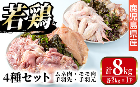 i1097 鹿児島県産 若鶏4種セット (ムネ・モモ・手羽先・手羽元 / 各2kg×1P・計8kg ) 鶏肉 むね肉 もも肉 手羽先 手羽元 国産 九州産 お肉 モモ肉 ムネ肉 手羽 手羽さき もと チキン 冷凍 セット 詰め合わせ [まつぼっくり]