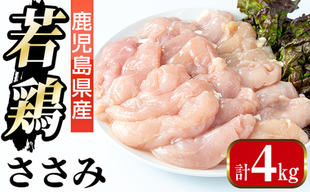 i1094 Y {  (2kg×2PEv4kg ) { TT~ Y BY  _CGbg  `L wV[ Ⓚ {TT~ y܂ڂz