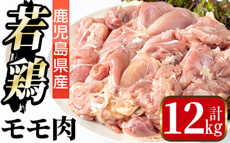 i1090-C Y {(v12kgE2kg×6) {  Ƃ  Y Y 2kg 12kg SS Ⓚ y܂ڂz
