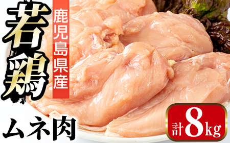 i1091-B Y {l (2kg×4܁Ev8kg ) {  Ƃ l ނ˓ Y Y 2kg 8kg SS Ⓚ y܂ڂz
