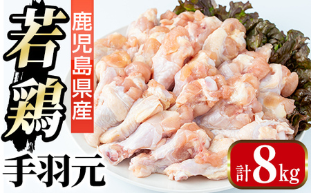 i1092-B 鹿児島県産 手羽元(計8kg・2kg×4袋) 鶏肉 鳥肉 とり肉 手羽 手羽もと 国産 鹿児島県産 2kg 8kg 安心安全 冷凍 【まつぼっくり】