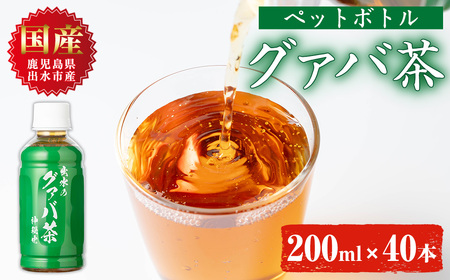 i1137-A グァバ茶PET(神秘也)200ml×40本 お茶 茶 国産 グァバ葉 ノンカフェイン ポリフェノール 血糖値 コレステロール ペットボトル [出水酒造 izumi-syuzou]