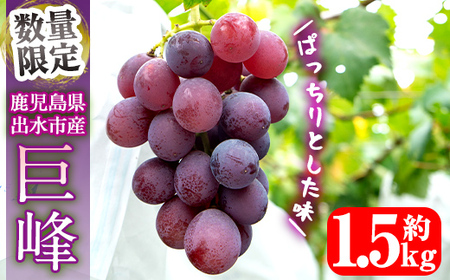 i1168 ᐔʁEԌ⋐ (v1.5kg)  Ԃǂ ʕ    {  ① t[c Y os yRԂǂz