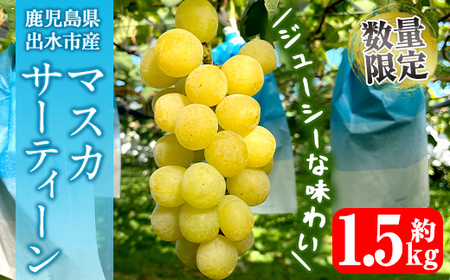 i1115-B ᐔʁEԌ }XJT[eB[ (v1.5kg) Y  os Ԃǂ uhE ʕ  t[c }XJET[eB[ }XJbg  { Ȃ {  ① y