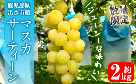 i1115-C ᐔʁEԌ }XJT[eB[ (v2kg) Y  os Ԃǂ uhE ʕ  t[c }XJET[eB[ }XJbg  { Ȃ {  ① yR
