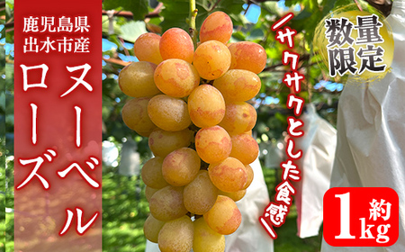 i1117-A ᐔʁEԌ k[x[Y (v1kg) Y  os Ԃǂ uhE ʕ  t[c k[x[Y  { Ȃ {  ① yRԂǂz