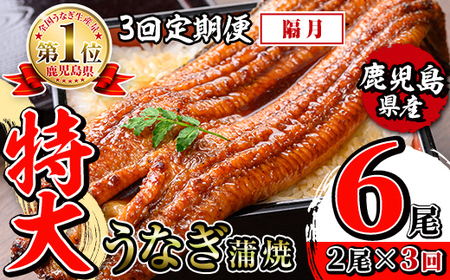 i1172-B [定期便・計3回(隔月)]＼特大サイズ/鹿児島県産 うなぎ蒲焼 2尾セット[(約220g×2・計約440g)×全3回] 定期便 たれ 山椒付きうなぎ 鰻 ウナギ 特大 特大サイズ 220g 蒲焼き 国産 鹿児島県産 焼きたて 生産量日本一 真空パック おかず 晩御飯 特別な日 土用の丑の日 [薩摩川内鰻]