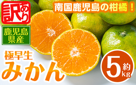 i1170 [訳あり!数量・期間限定]鹿児島みかん(極早生系・約5kg) みかん 蜜柑 ミカン 柑橘 極早生 10kg 果物 フルーツ 果実 国産 鹿児島 訳あり [江崎果樹園]