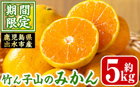 i1178 ᐔʁEԌ₢ݎY |qȒ݂(5kg)  Y BY ݂ ~J  k  t[c ʎ  yC[TChCz