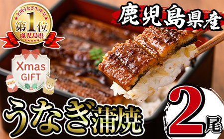 i505-Xm yNX}XMtgz YȂ (2) 1140g Ȃ V EiM Ă Y Y Ă Yʓ{ ^pbN  ӌ  Mtg v[g N