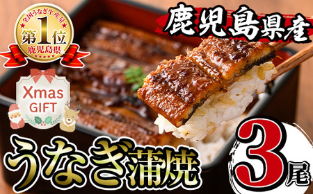 i506-Xm yNX}XMtgz  YȂ (3) 1140g Ȃ V EiM Ă Y Y Ă Yʓ{ ^pbN  ӌ  Mtg v[g N