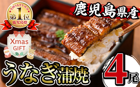 i1077-Xm yNX}XMtgz YȂ (4) 1140g Ȃ V EiM Ă Y Y Ă Yʓ{ ^pbN  ӌ  Mtg v[g N