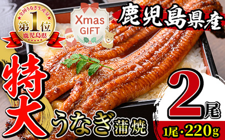 i1078-A-Xm yNX}XMtgz_TCY^ Y Ȃ (2) 1 220g  RtȂ V EiM  TCY V Ă Y Y Iׂ  Mtg v