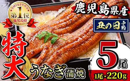 i1078-C-us �y2026�N�N�̓��܂łɔz���z�_����T�C�Y�^���������Y ���Ȃ����� 5���i��220g×5�E�v��1100g�j ���� �R���t�����Ȃ� �V �E�i�M ���� ����T�C�Y ��220g ���Ă� ���Y ���������Y �Ă�����