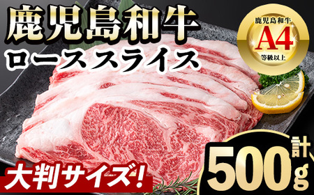 i1190 [毎月数量限定]A4〜A5 鹿児島和牛ロース大判焼肉スライス(計500g・250g×2P) 和牛 牛肉 牛 肉 ロース 焼き肉 焼肉 冷凍 国産 霜降り [居食肉]