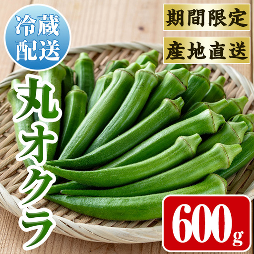 いずみ産 丸 オクラ 600g [イーサイドライン] i1215-A