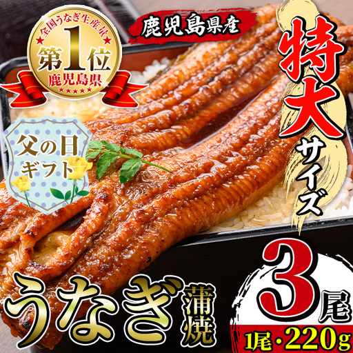i1078-B-f 【父の日ギフト】＼特大サイズ／鹿児島県産 うなぎ蒲焼 3尾（約220g×3・計約660g） たれ 山椒付きうなぎ 鰻 ウナギ 特大 特大サイズ 約220g 蒲焼き 国産 鹿児島県産 焼きたて 生産量日本一 真空パック おかず 晩御飯 特別な日 贈答 ギフト プレゼント 父の日 【薩摩川内鰻】