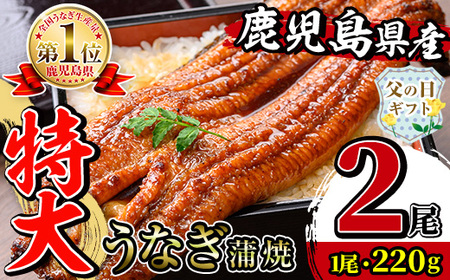 i1078-A-f [父の日ギフト]＼特大サイズ/鹿児島県産 うなぎ蒲焼 2尾(約220g×2・計約440g) たれ 山椒付きうなぎ 鰻 ウナギ 特大 特大サイズ 220g 蒲焼き 国産 鹿児島県産 焼きたて 生産量日本一 真空パック おかず 晩御飯 特別な日 贈答 ギフト プレゼント 父の日 [薩摩川内鰻]