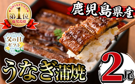 i505-f [父の日ギフト]鹿児島県産うなぎ蒲焼2尾セット(約140g×2・計約280g) うなぎ 鰻 ウナギ 尾 蒲焼き 国産 鹿児島県産 焼きたて 生産量日本一 真空パック おかず 晩御飯 特別な日 贈答 ギフト プレゼント 父の日 [薩摩川内鰻]