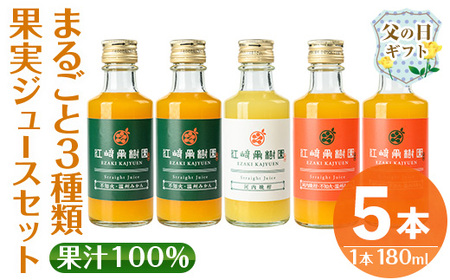 i990-D-f [父の日ギフト]まるごと3種類果実ジュースセット(180ml×5本・全3種) 飲料 ジュース みかん 蜜柑 詰合せ 果汁 100% 河内晩柑 不知火 温州みかん 無着色 無香料 ストレート 安心安全 父の日 プレゼント ギフト 贈答 [江崎果樹園]