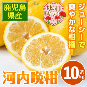 i798-m [母の日ギフト]河内晩柑 (約10kg) 鹿児島 国産 柑橘 果物 果実 フルーツ 蜜柑 みかん 母の日 プレゼント ギフト 贈答 [江崎果樹園]