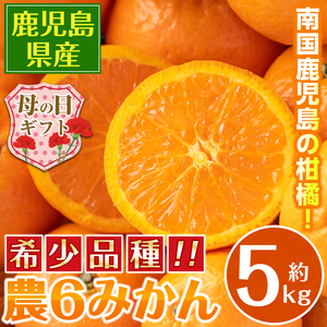 i585-m [母の日ギフト]農6みかん(約5kg) 果物 フルーツ 柑橘 国産 鹿児島県産 みかん 蜜柑 母の日 プレゼント ギフト 贈答 [江崎果樹園]