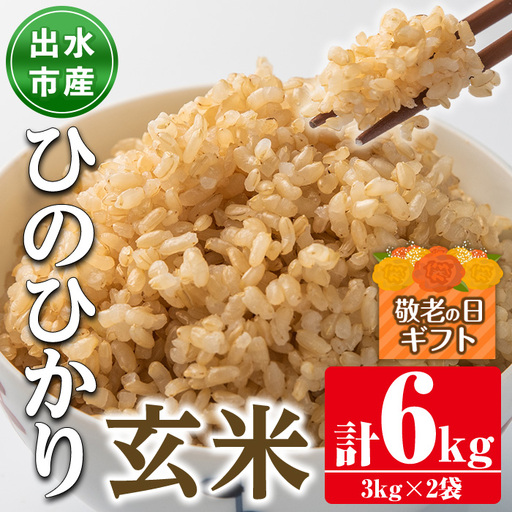 i504-k [敬老の日ギフト]鹿児島県出水市産ひのひかり[玄米](3kg×2袋・計6kg) 米 玄米 ヒノヒカリ 自家脱穀 自家精米 発送直前 精米 ごはん お米マイスター 厳選 ギフト プレゼント 贈答 敬老の日 [田上商店]