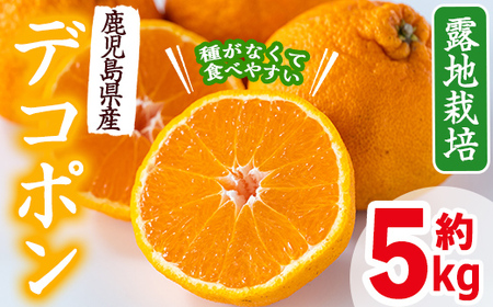 i084 s\tI2026N3{珇⎭YIfR|(5kgEL~4LTCY 15~24) Y ݂ k Ȃ ʕ  t[c { Inُ yJA(ʎ)z